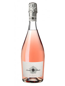 Arnaud de Villeneuve - Vin pétillant rosé