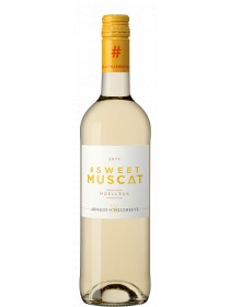 Arnaud de Villeneuve - Sweet Muscat blanc Moelleux 2019