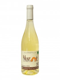 Vignoble d'agly - Muscat de Rivesaltes