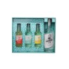 Tessendier - Coffret Mr Gaston Gin et Tonic 0.70L